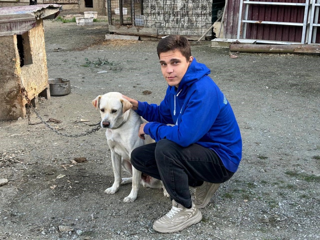 собака.jpg собака.jpg